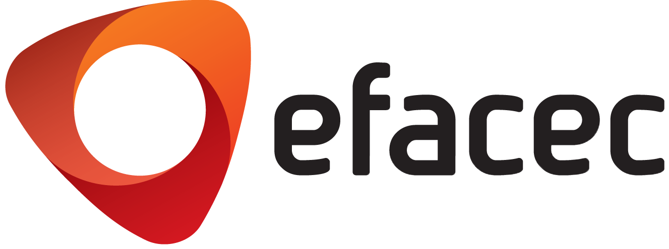 Efacec India Pvt. Ltd.